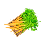 Vegan Red Carrot