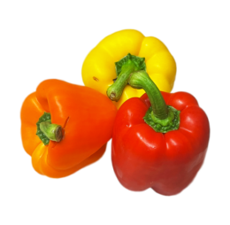 Mixed Vegan Capsicum